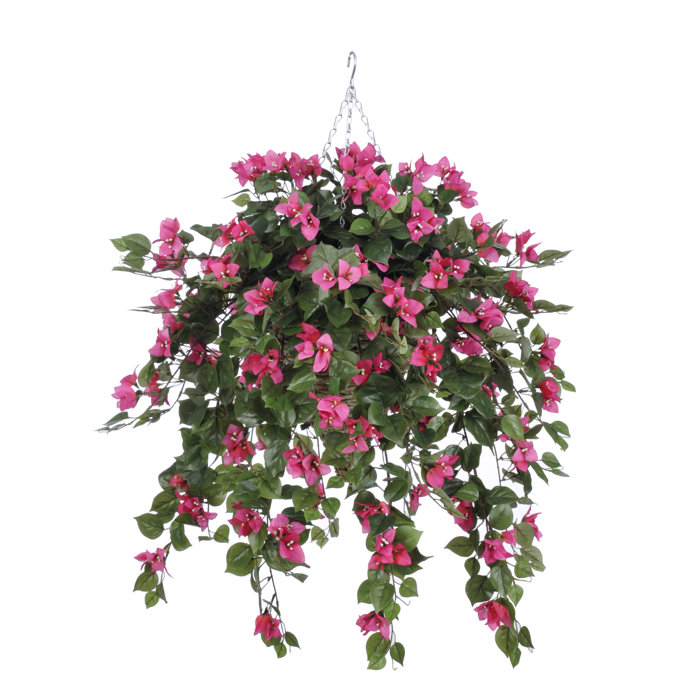 House of Silk Flowers Bougainvillea Hanging Basket Arrangement in Basket Wayfair
